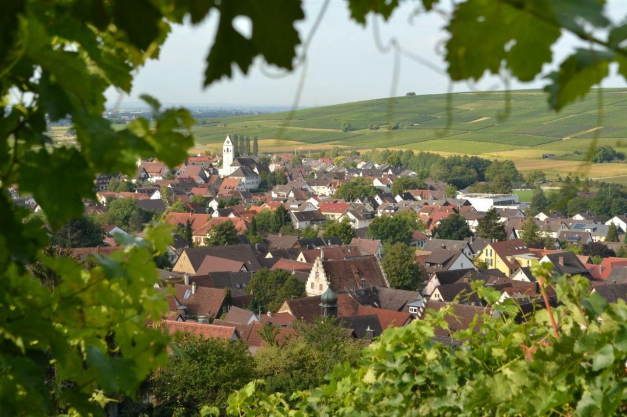 Ferienwohnung Schneckental Pfaffenweiler Екстериор снимка